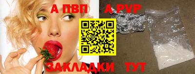 хмурый Кингисепп